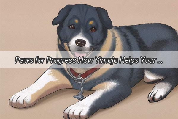 Paws for Progress How Yimuju Helps Your Female Dog Flourish During Her Cycle